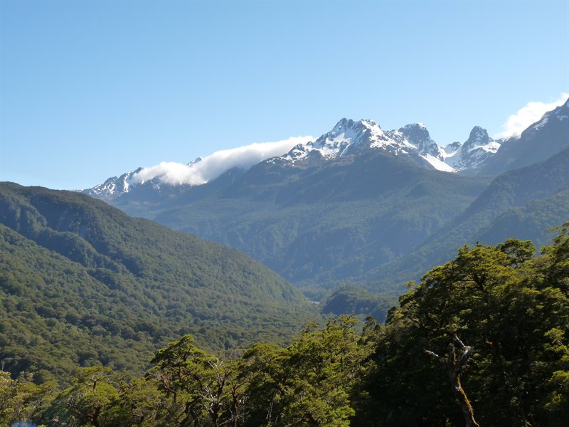 The mountains of Fiordland overlooking the Hollyford Valley