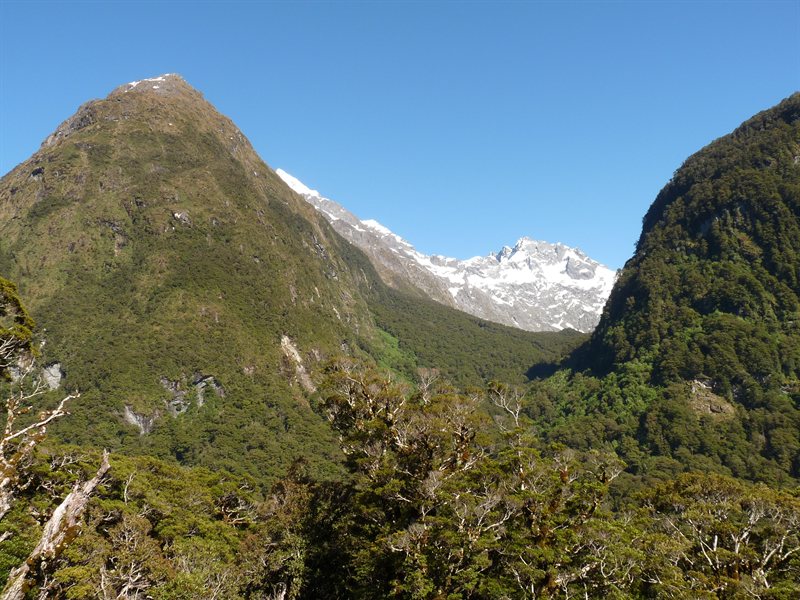 Snow-capped peaks on the way to Milford Sound
