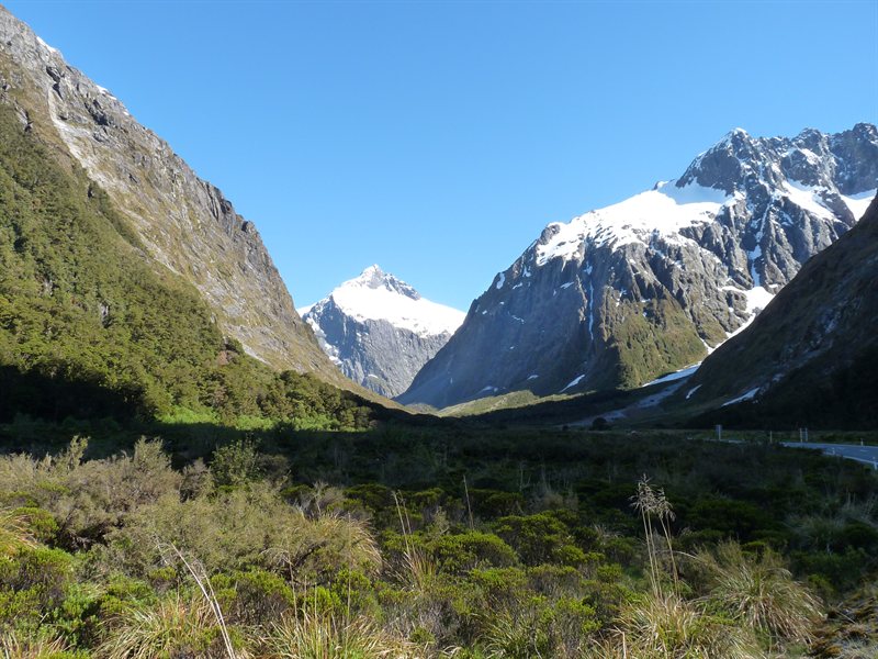 Snow-capped peaks on the way to Milford Sound