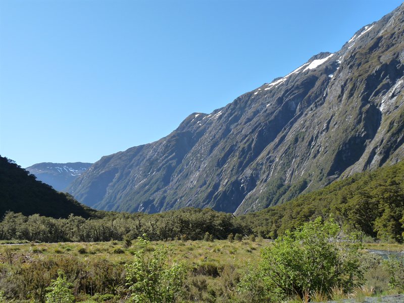 Snow-capped peaks on the way to Milford Sound