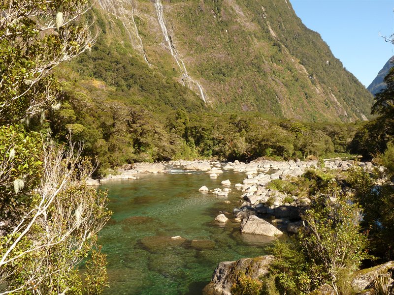 Crystal clear river on the way to Milford Sound