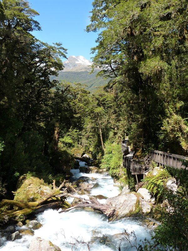 Waterfall which feeds into the Cleddau River