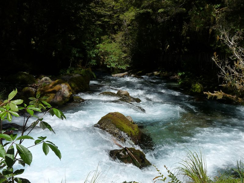 Waterfall which feeds into the Cleddau River