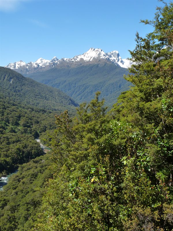 Mountain views on the road to Milford Sound