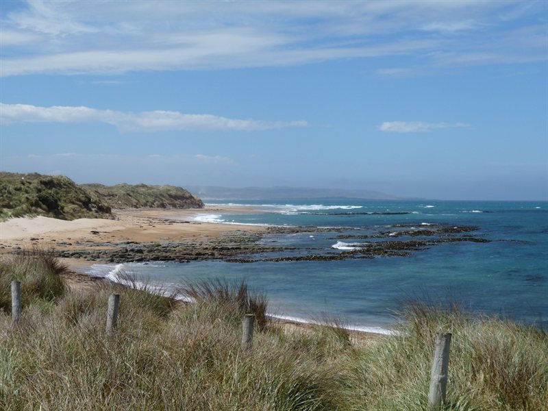 Waipapa Point