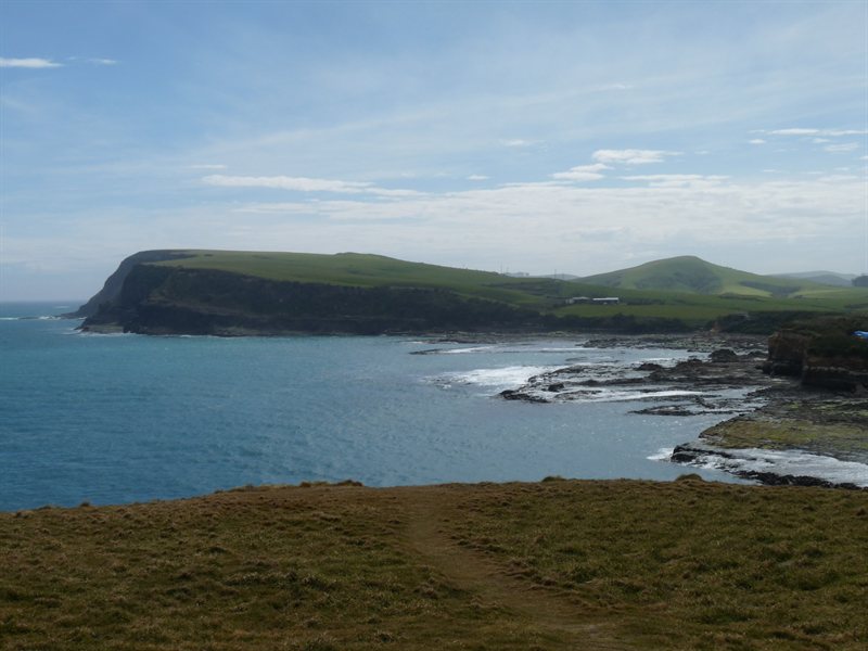 View over Curio Bay