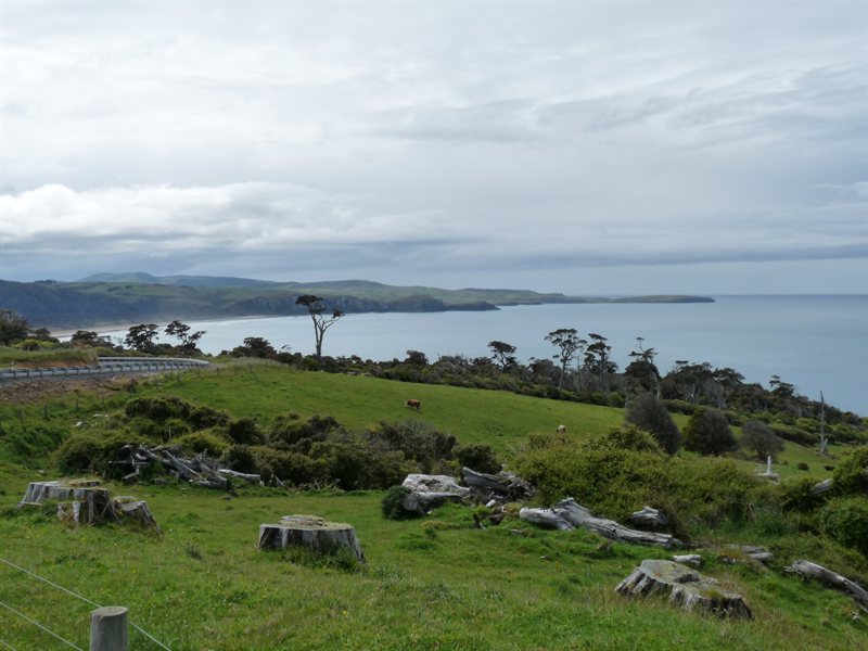 Views from Tautuku Point