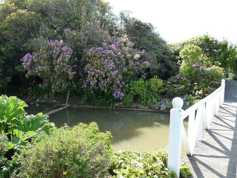 Gardens at Anderson Park