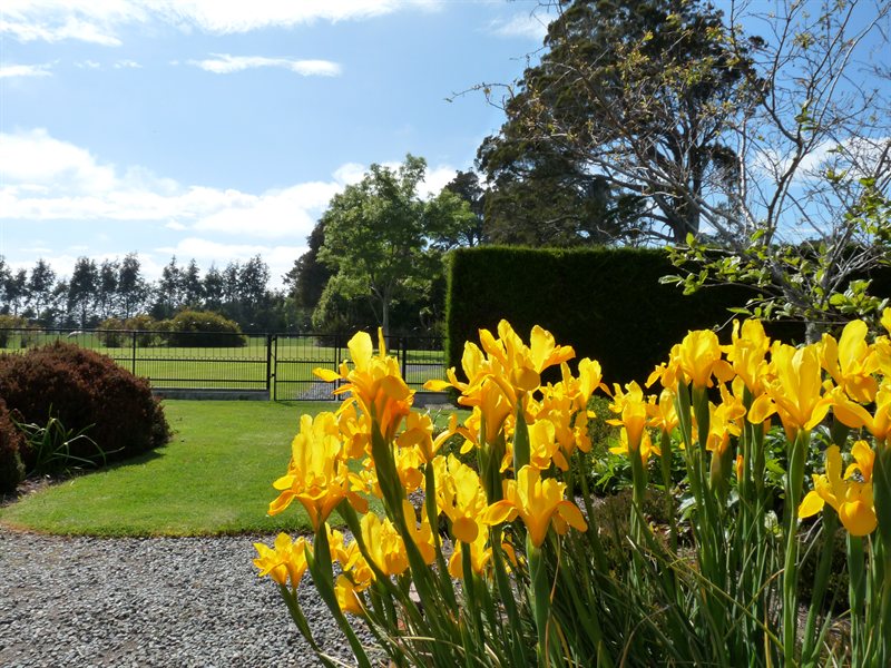 Gardens at Anderson Park