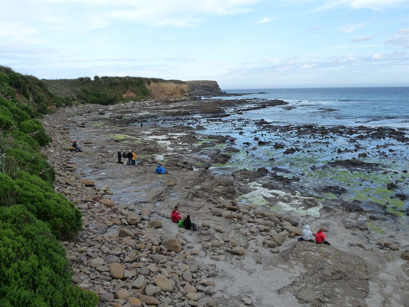 View over Curio Bay with people waiting for the penguins
