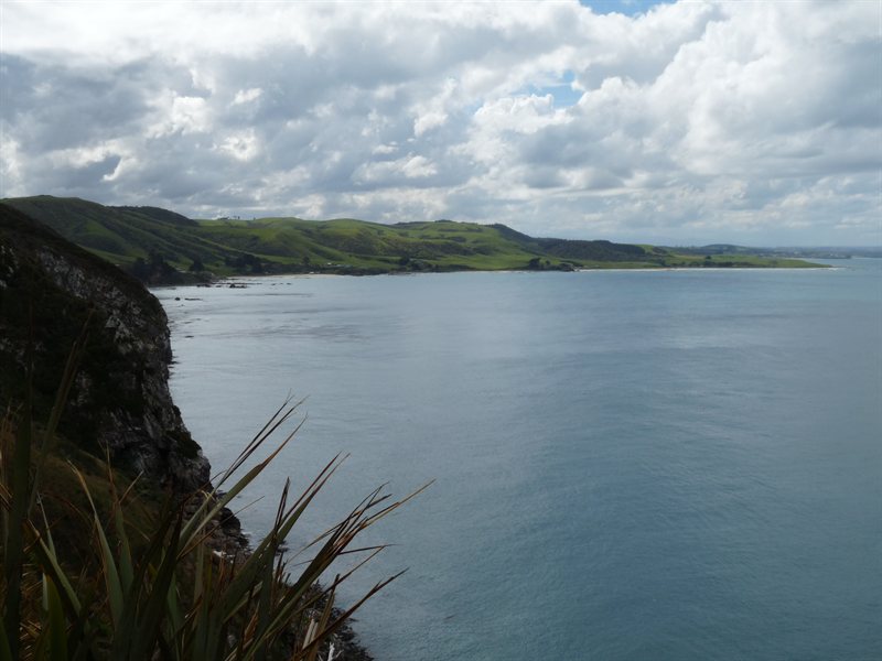 View towards Kaka Point from Nugget Point