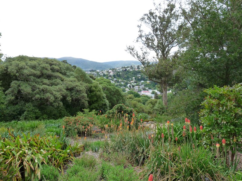Dunedin Botanic Gardens