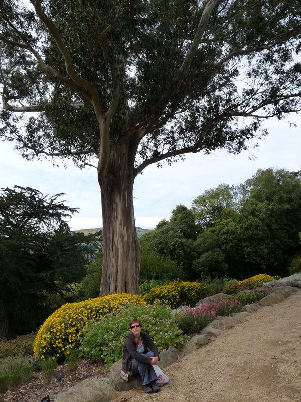 Claire in the South African garden in Dunedin's Botanic Gardens