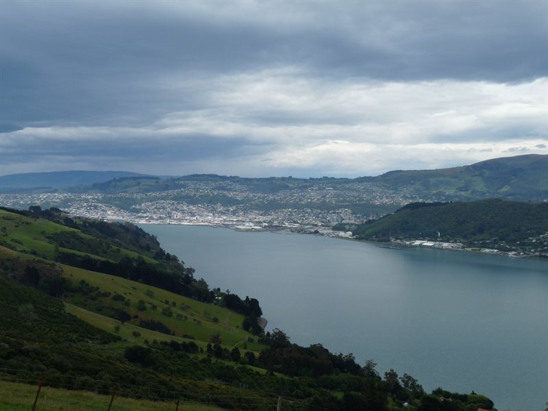 Looking back at Dunedin from Otago Peninsula