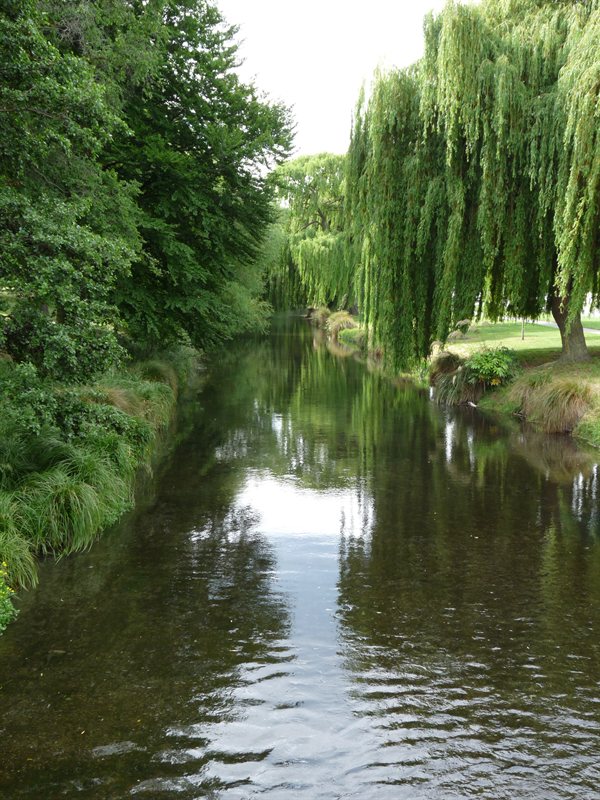 The River Avon