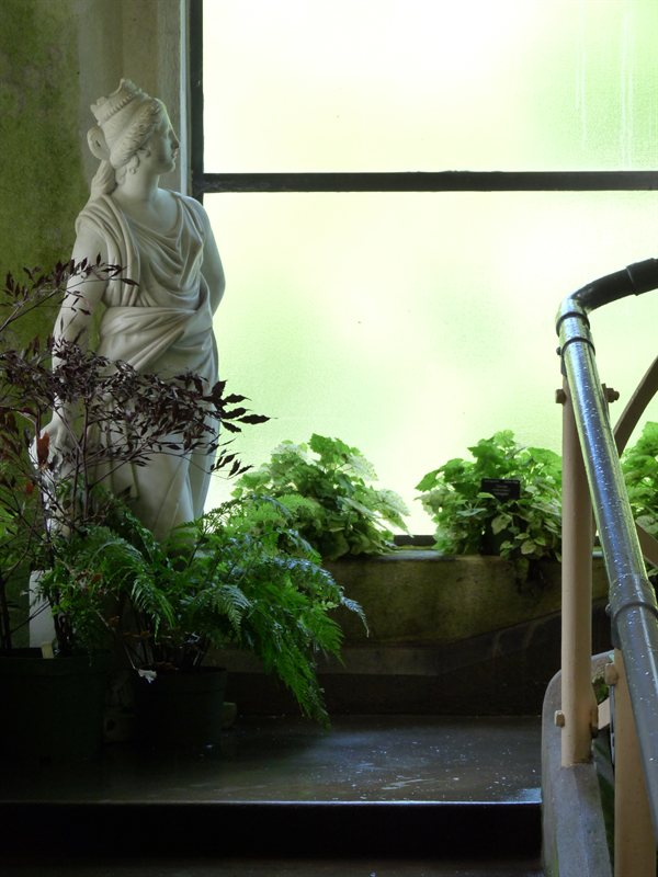 Statue in the greenhouse at the botanic garden