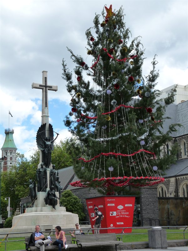 The Christmas tree in Cathedral Square