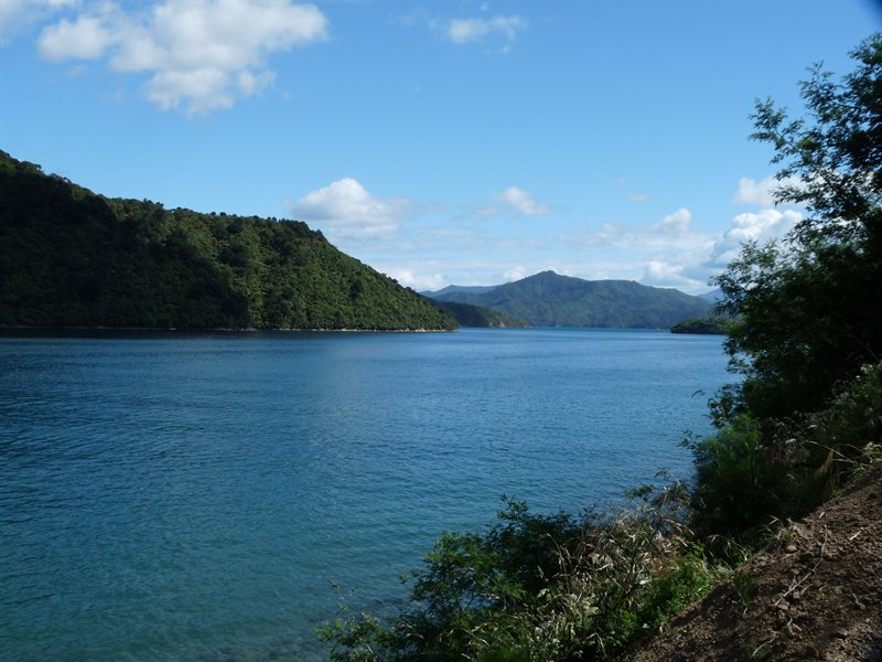 Marlbourough Sound from Picton