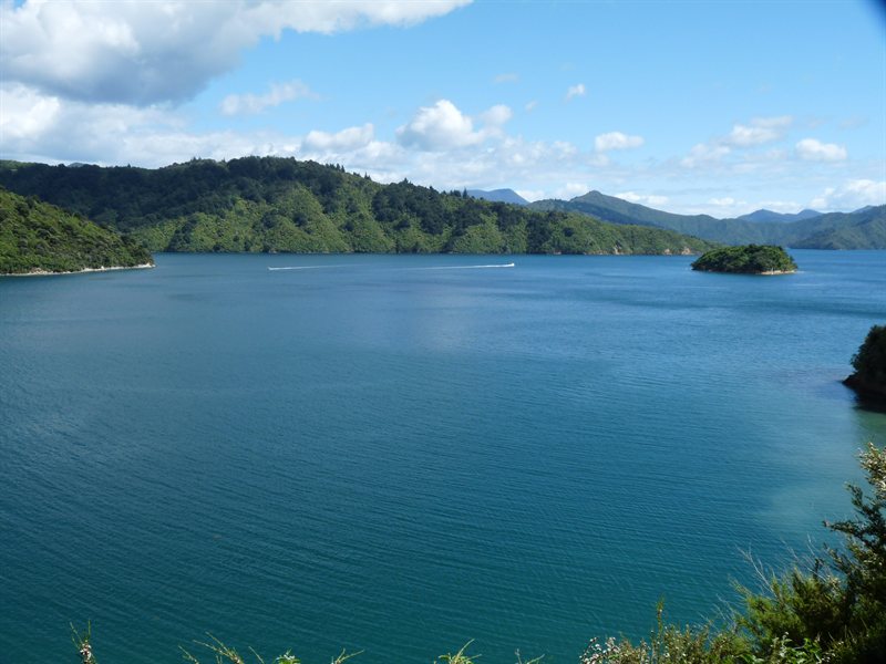 Marlbourough Sound from Picton