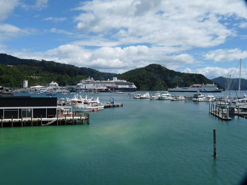 Cruise ship in Picton Harbour