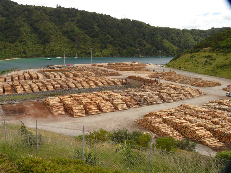 Wood processing plant at Picton