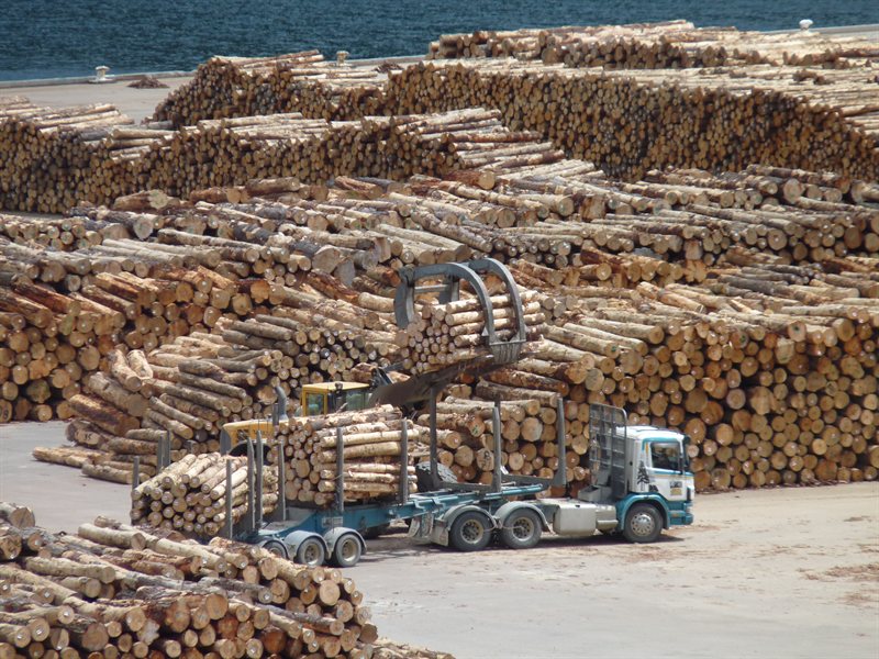 Wood processing plant at Picton