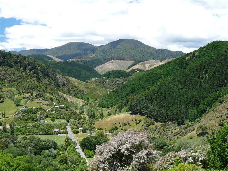 View from the centre of New Zealand