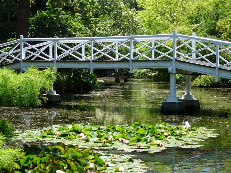 Queens Gardens in Nelson