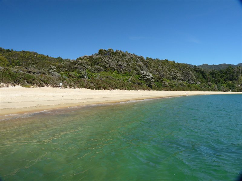 Sandy beach in the Abel Tasman