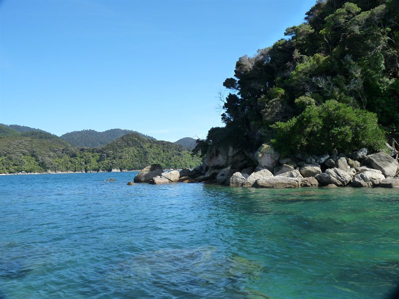 Clearwater around an island in the Abel Tasman