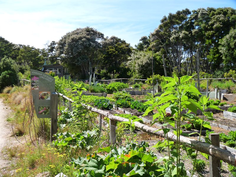 Awaroa Lodge vegetable gardens