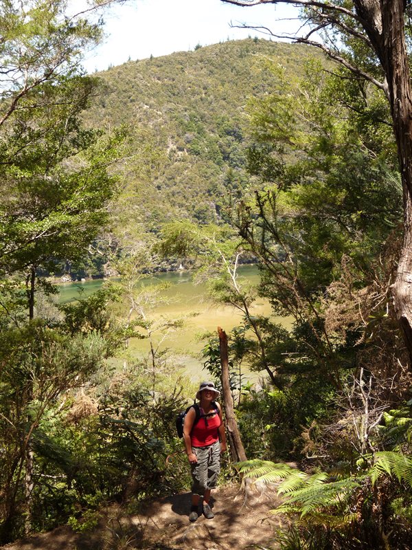 Claire on the Abel Tasman walk
