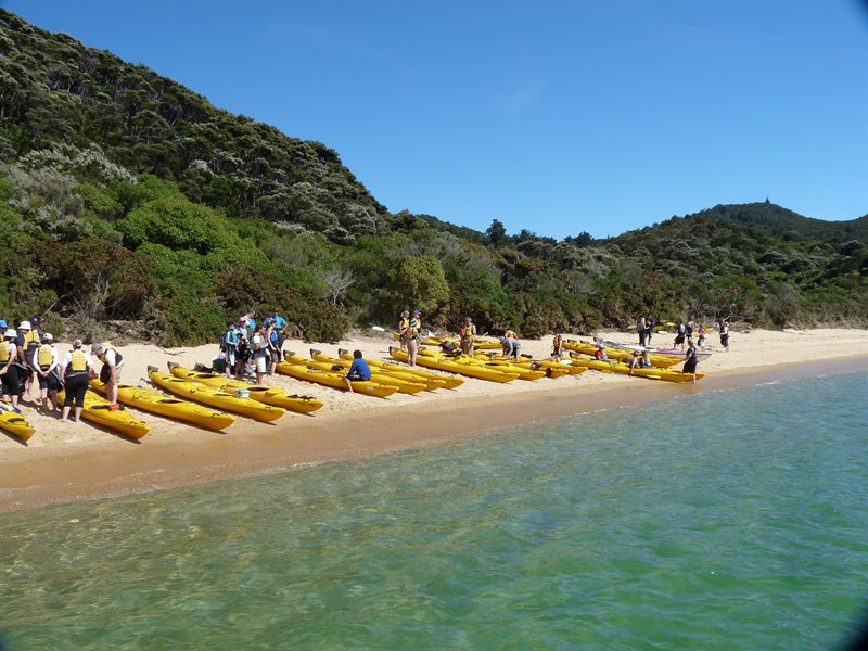 Kayaks in the Abel Tasman