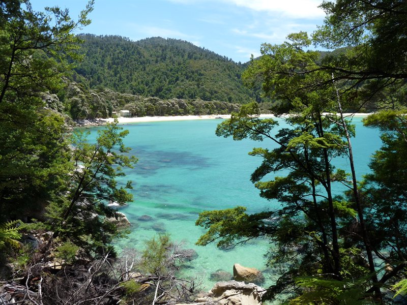 View over a bay on the Abel Tasman walk