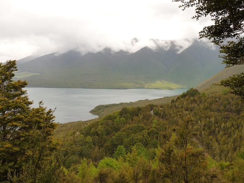 Veiw over Lake Rotoiti