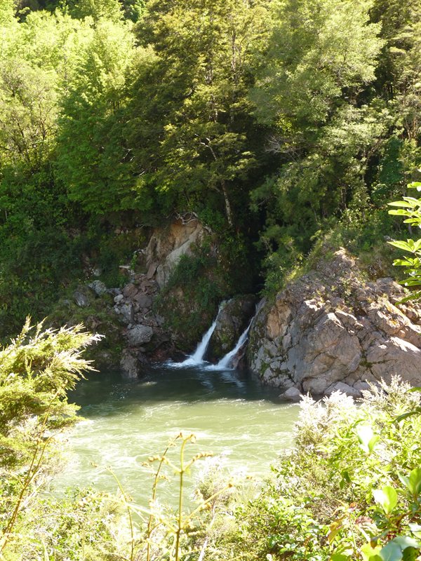 The fault line of the 1929 earthquake near Buller Gorge