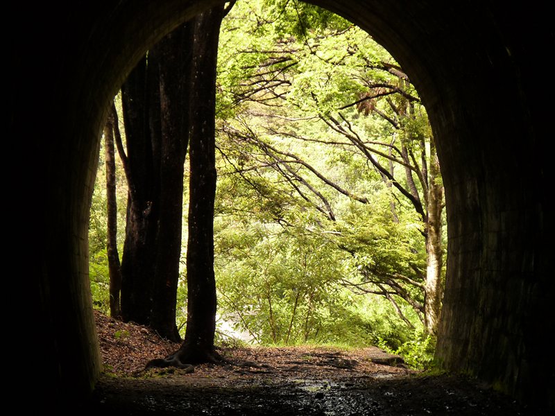 Inside the railway tunnel