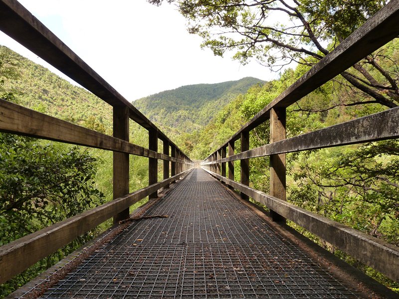 Bridge over the old railway