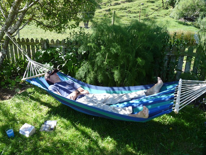 Reading! in the hammock :D