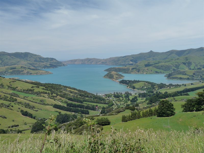 View over Akaroa on Christmas Day