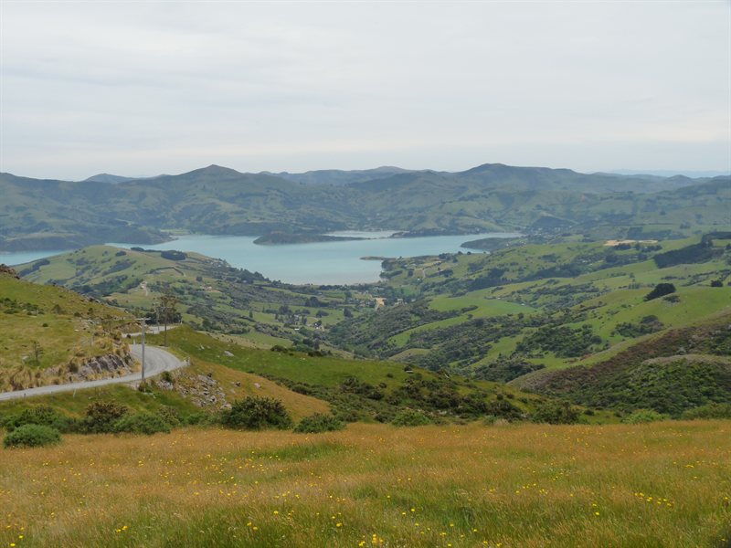 View over Akaroa on Christmas Day