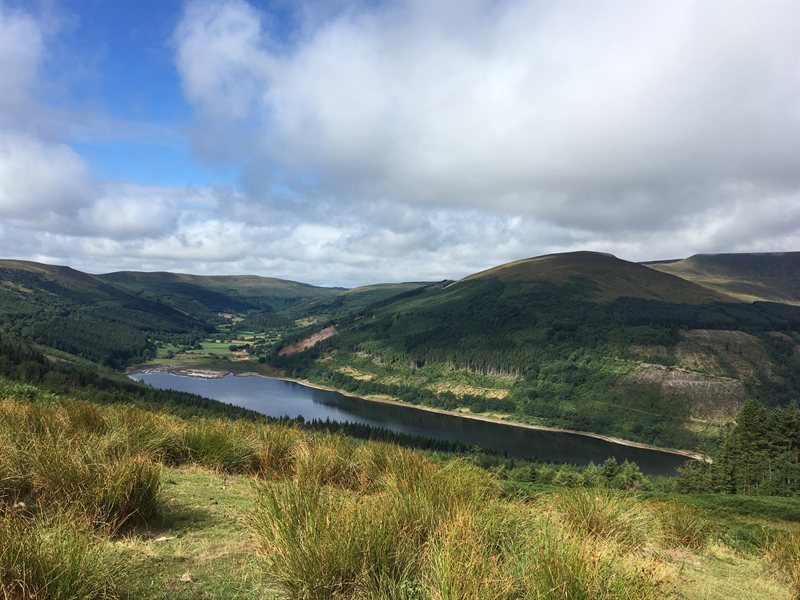 C74D45AE-F022-4715-A16D-02EE0DD55080