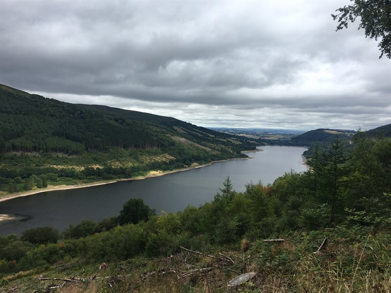 B5039925-2A4B-4F9D-87AD-9710165F1107