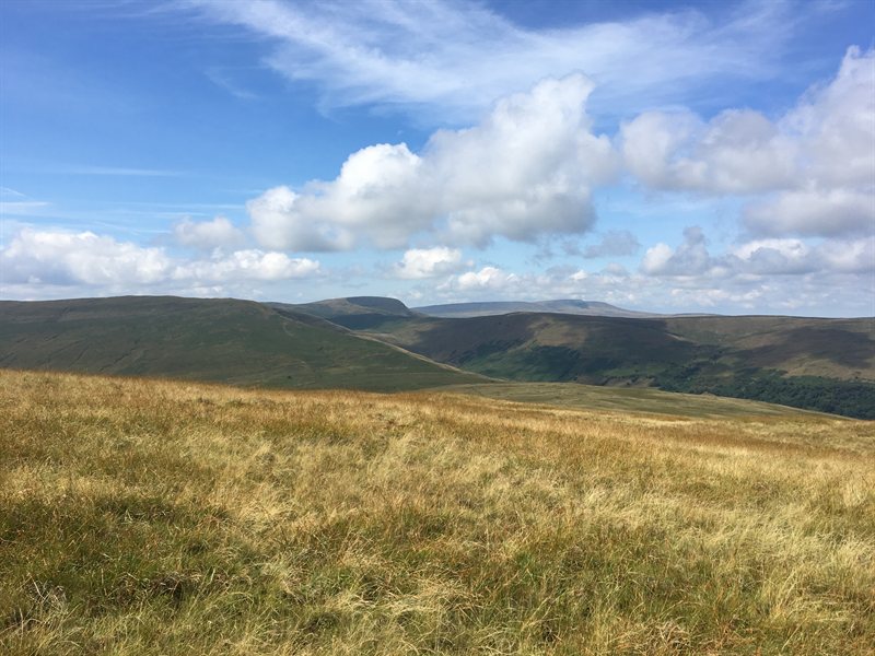 B1CD7067-B8D6-43F9-A9F5-074ED967588C