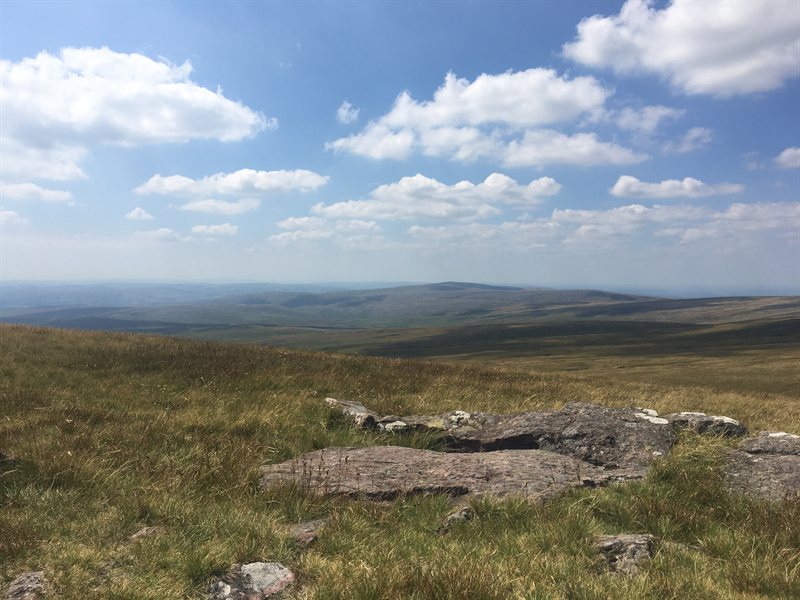 57436B08-71D2-4B83-B390-8BB238700669