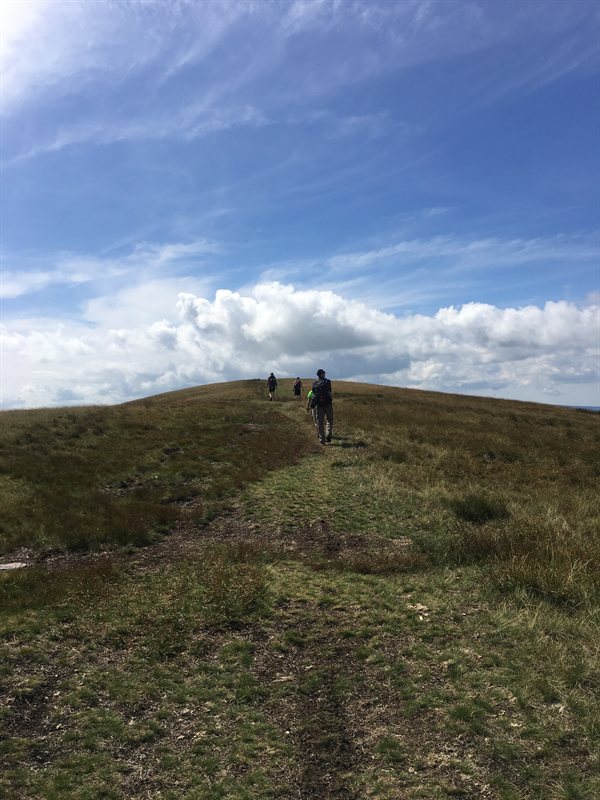 28CA0F17-7BF2-41A9-94FE-E8C6894AF99F