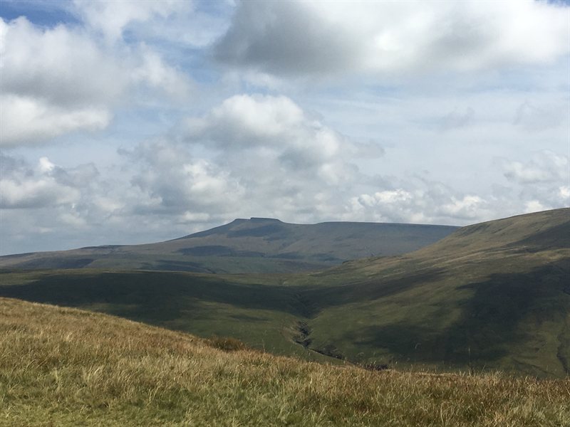 008B19CF-7A0E-4B5C-90B1-15F08CF40CB8