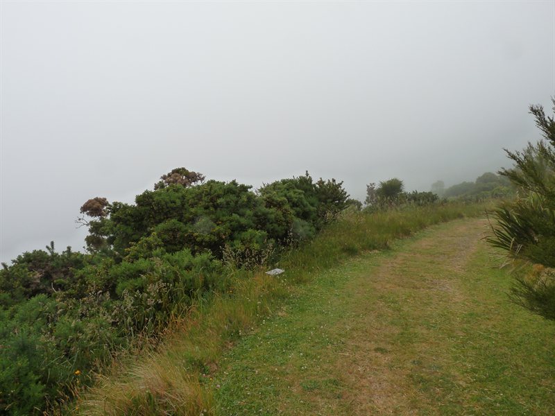 The 'view' from the top at Hinewai Park