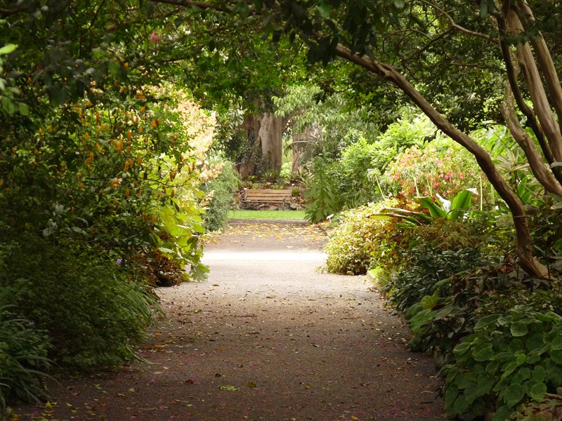 Sydney Botanic Gardens