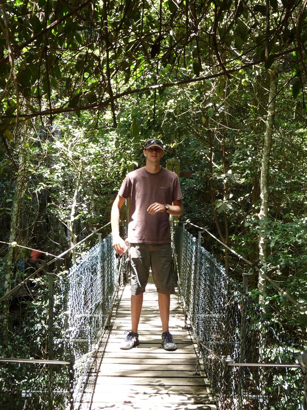Ed on the tree-top walk